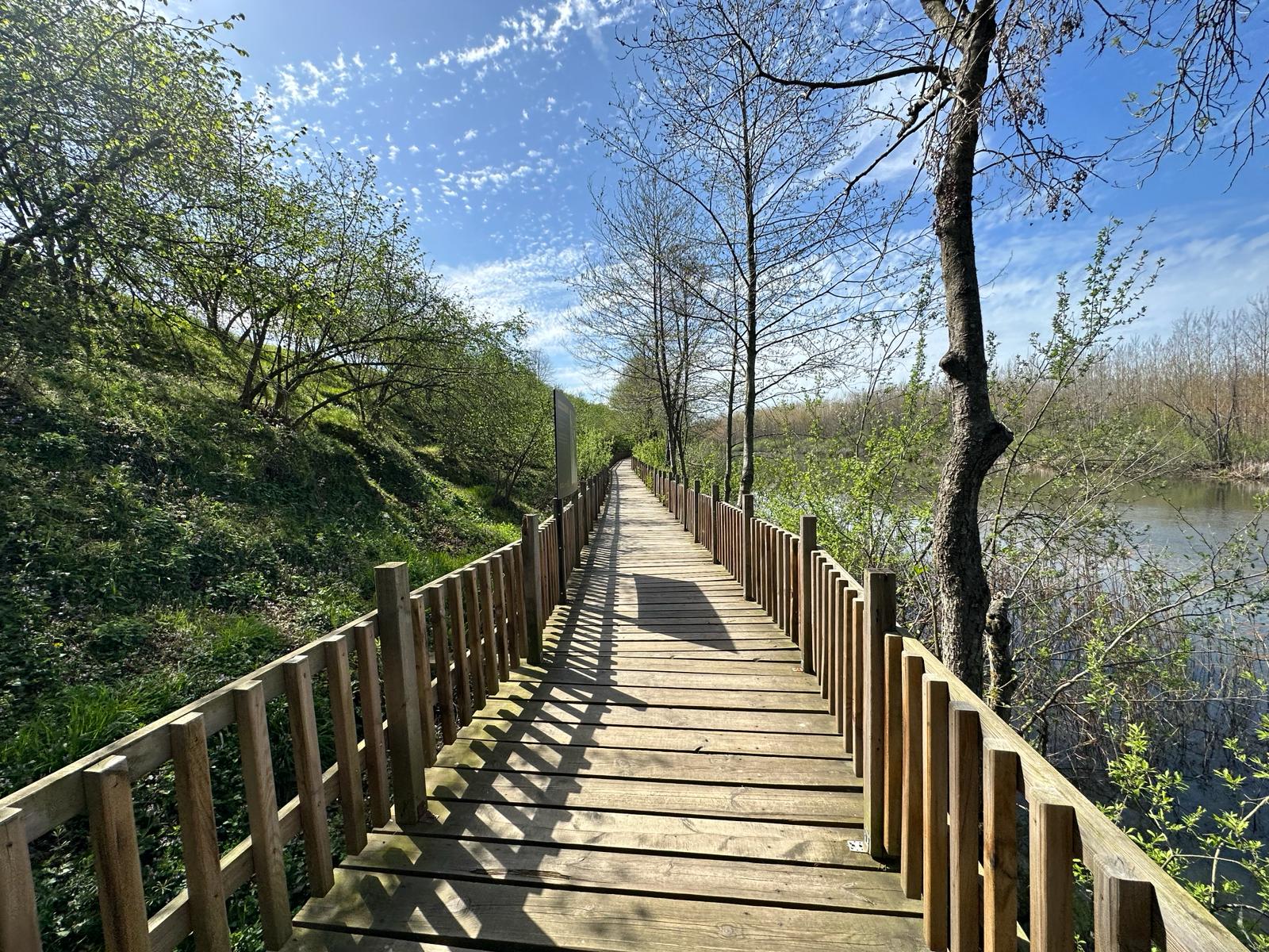 sakarya karasu yazlık evler
